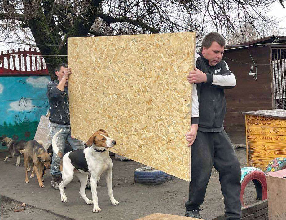 23 відповіді на питання про шелтер для ВПО у Дніпрі