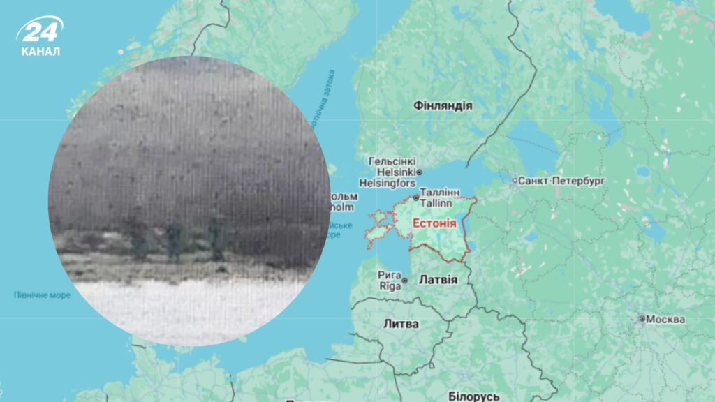 Троє російських прикордонників у формі перетнули кордон Естонії