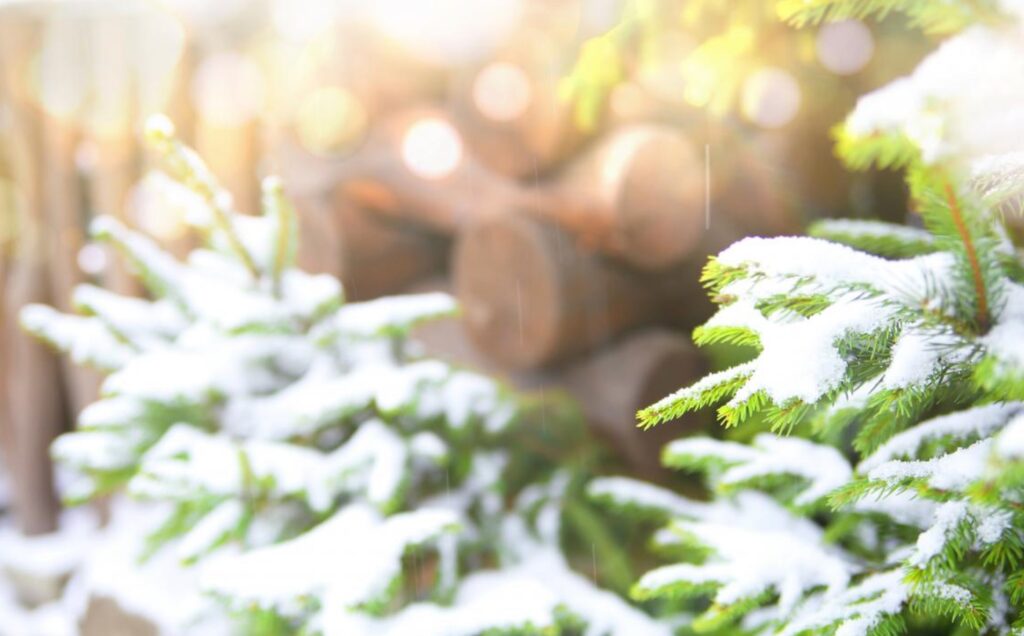 В Україну заходить потепління — але коротке й слабке, попереджає синоптикиня